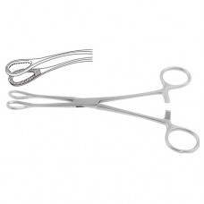 Foerster Sponge Holding Forcep Straight Stainless Steel, 25 cm - 9 3/4"